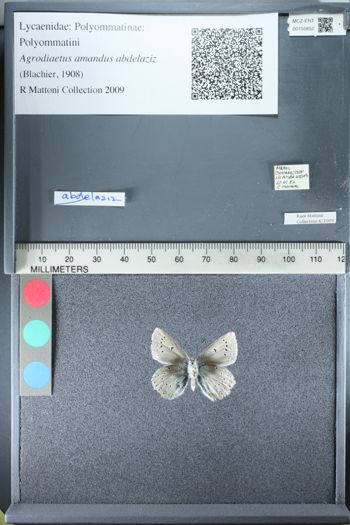 Media type: image;   Entomology 155852